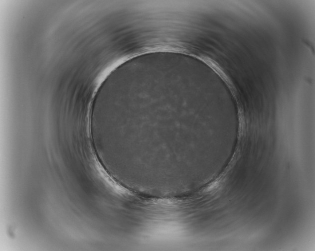 X0000100971246200807011413