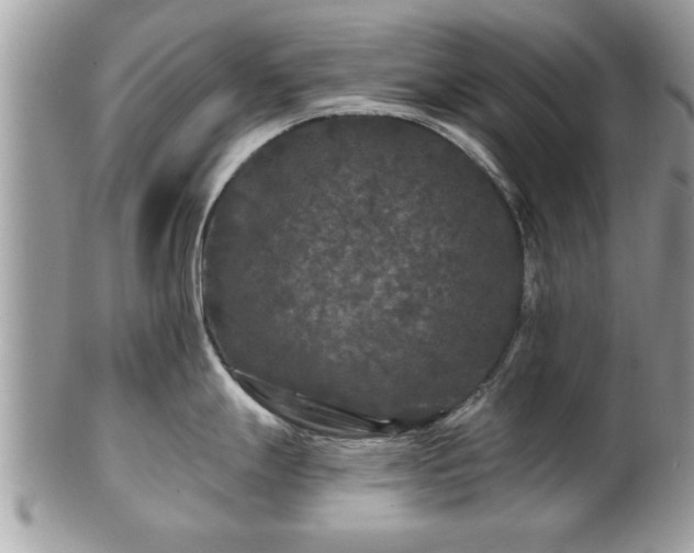 X0000100971247200807011413