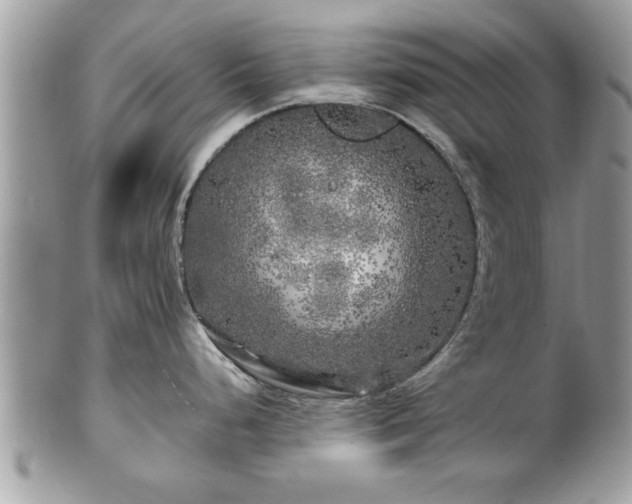 X0000100971248200807011413