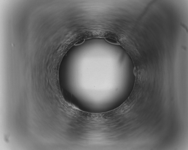 X0000100971249200807011413