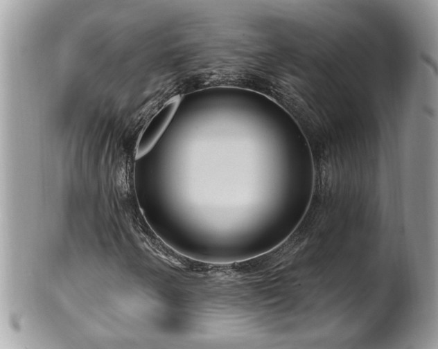 X0000100971250200807011413