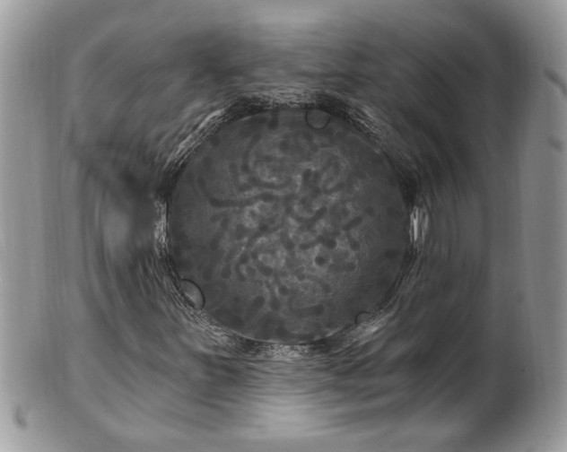 X0000100971251200807011413