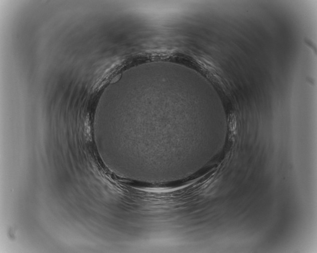 X0000100971252200807011413