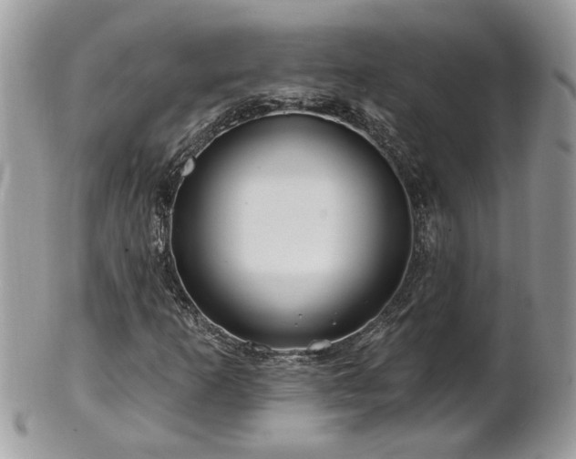 X0000100971253200807011413
