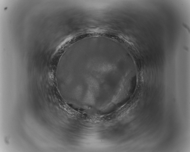X0000100971254200807011413