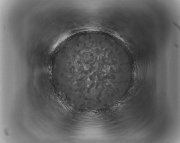 X0000100971255200807011413