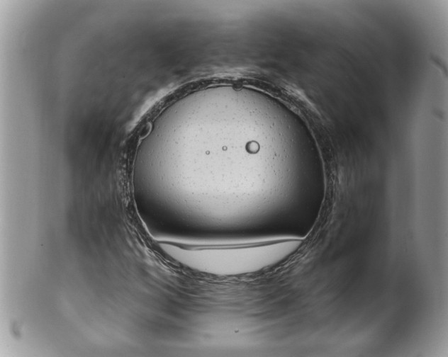 X0000100971256200807011413