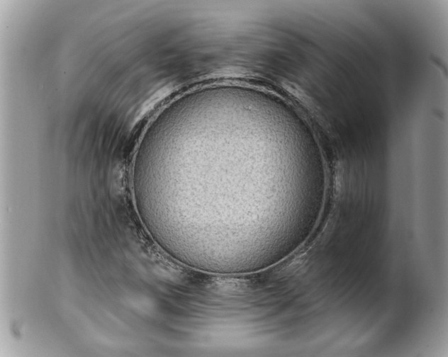 X0000100971258200807011413