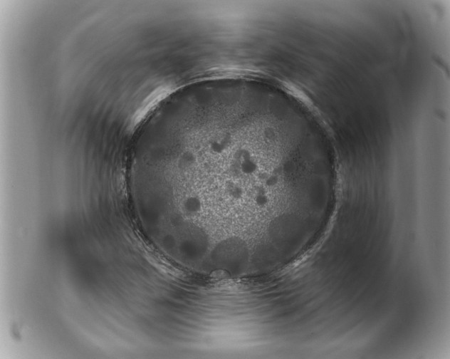 X0000100971259200807011413