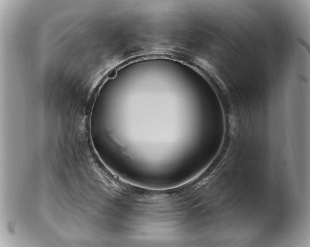 X0000100971260200807011413