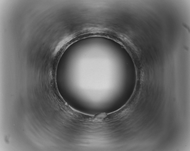 X0000100971261200807011413