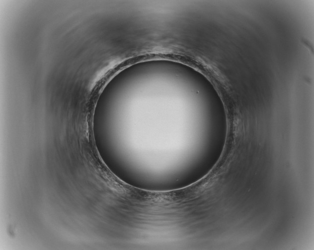 X0000100971262200807011413