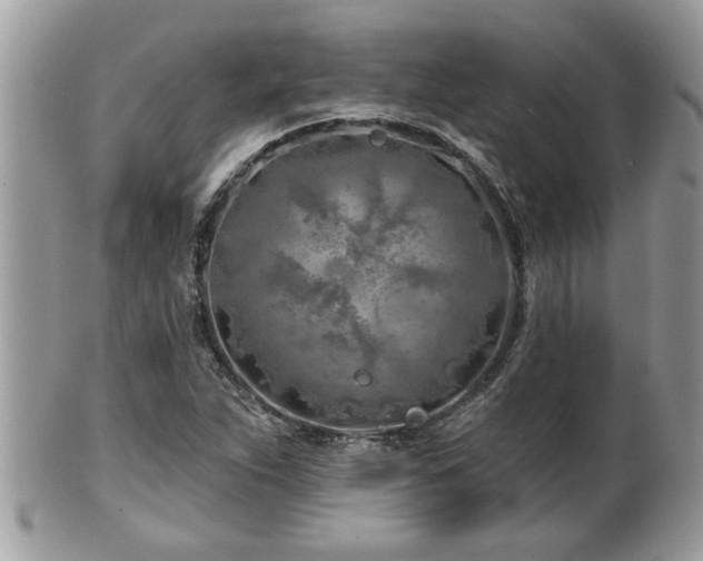 X0000100971263200807011412