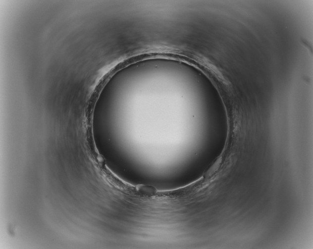 X0000100971264200807011412