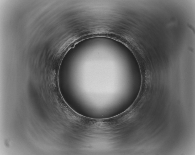 X0000100971265200807011412