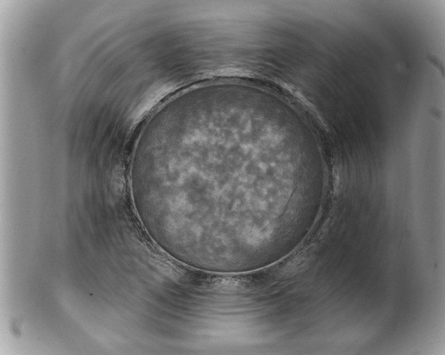 X0000100971266200807011412