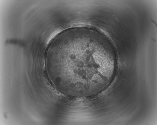 X0000100971267200807011412