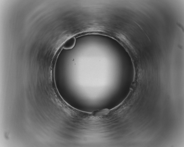 X0000100971268200807011412