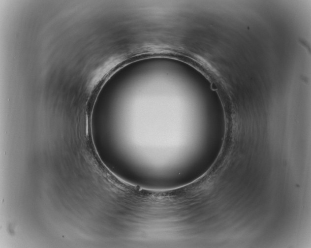 X0000100971269200807011412