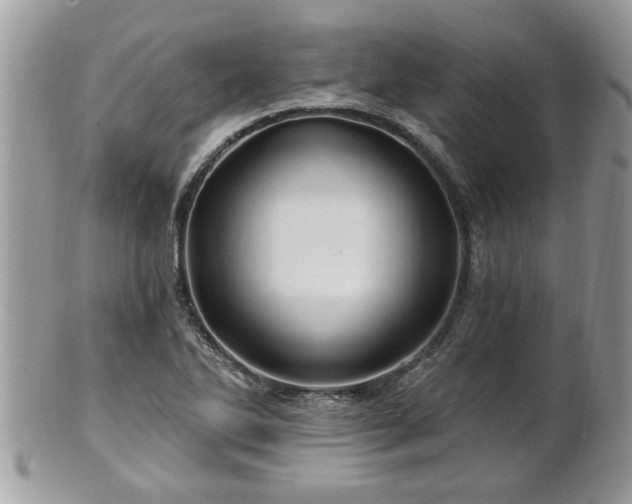 X0000100971270200807011412