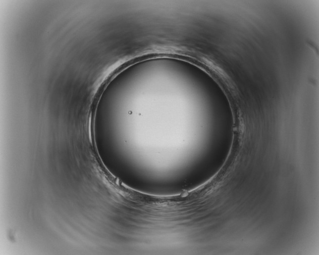 X0000100971272200807011412