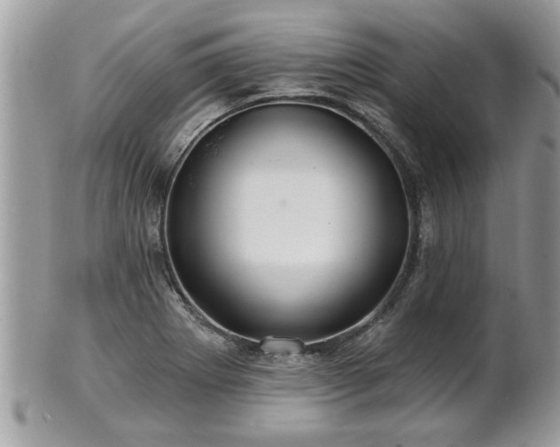 X0000100971273200807011412