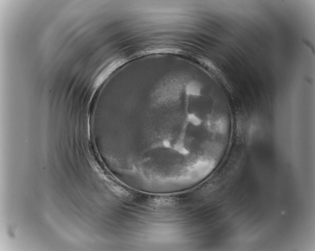 X0000100971274200807011412