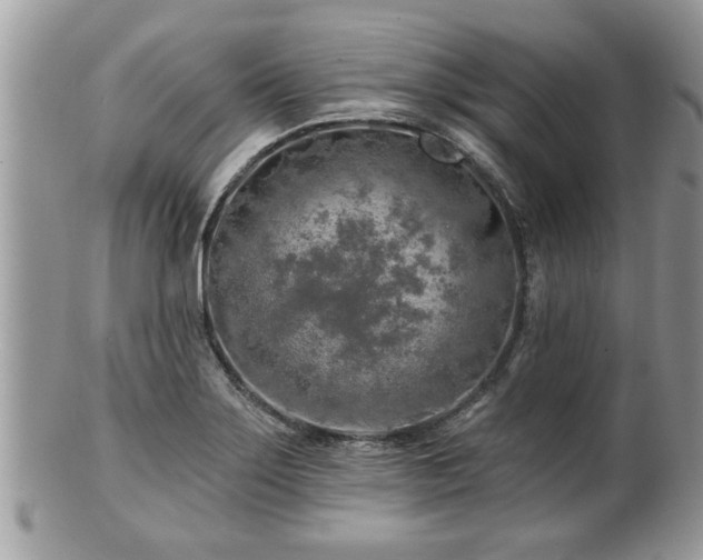 X0000100971275200807011412