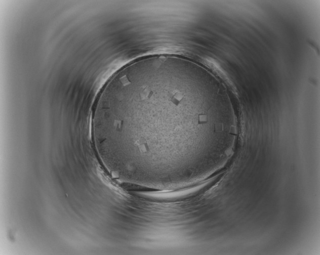 X0000100971276200807011412