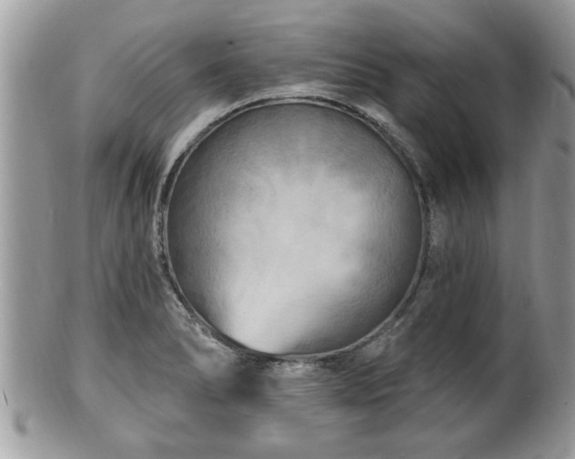 X0000100971278200807011412
