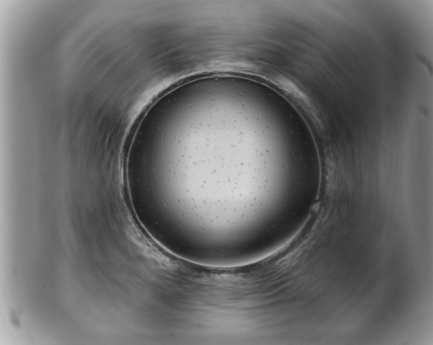 X0000100971280200807011412