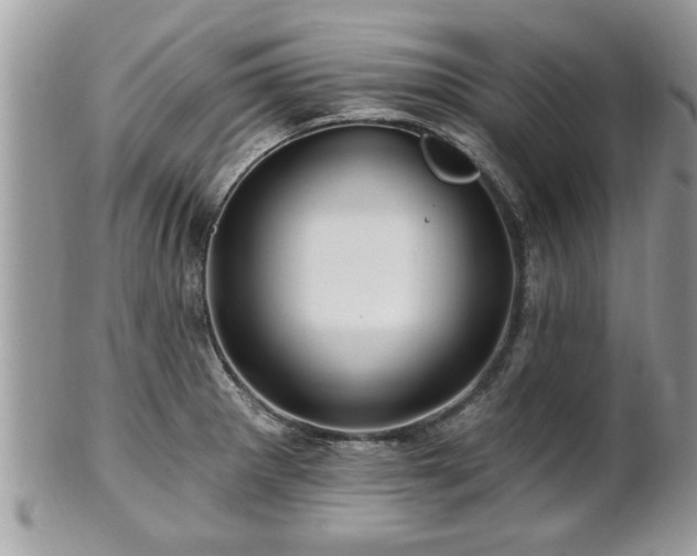 X0000100971281200807011412