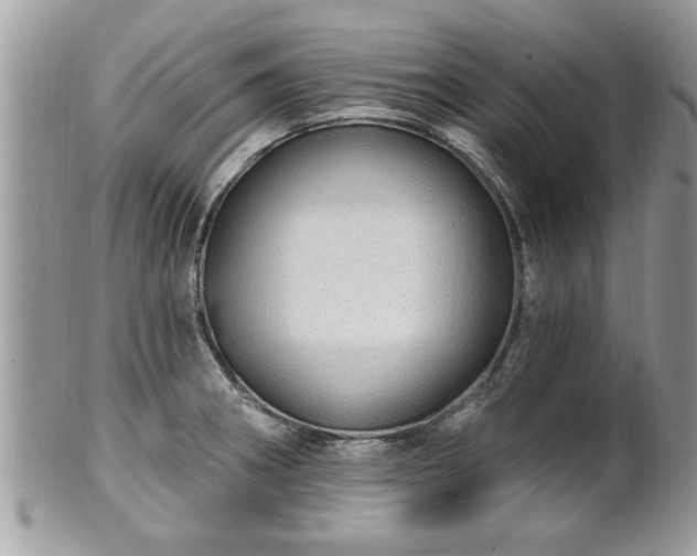 X0000100971282200807011412