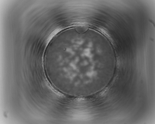 X0000100971283200807011412