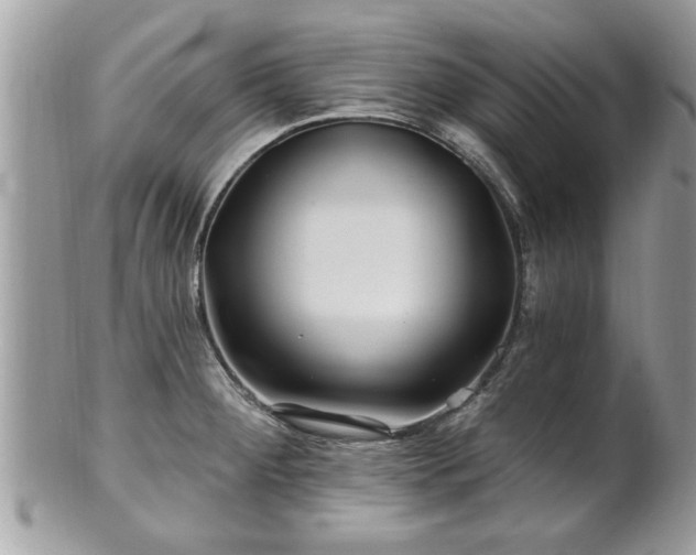 X0000100971284200807011412