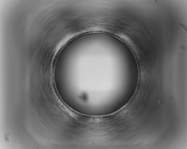 X0000100971286200807011412