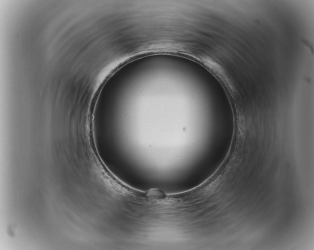 X0000100971288200807011412