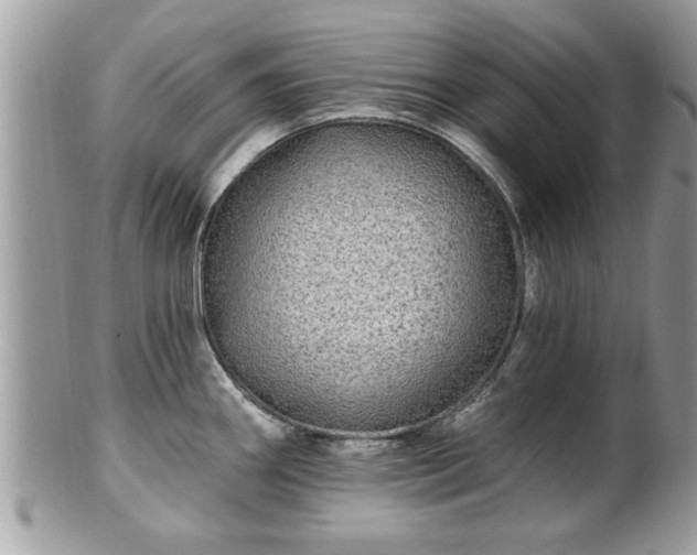 X0000100971290200807011412