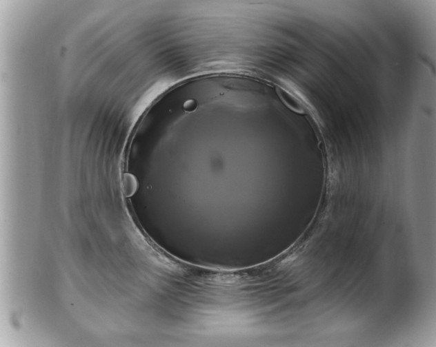 X0000100971291200807011412