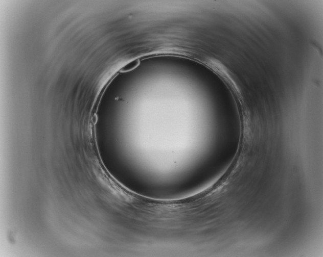 X0000100971292200807011412