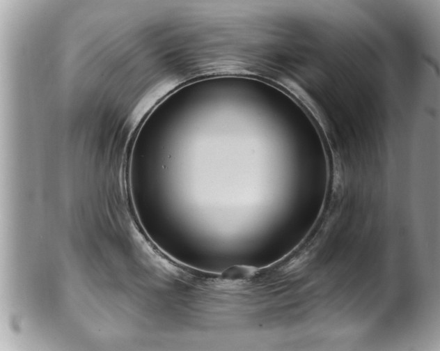 X0000100971293200807011412