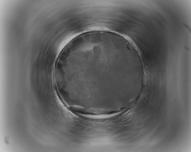 X0000100971295200807011412