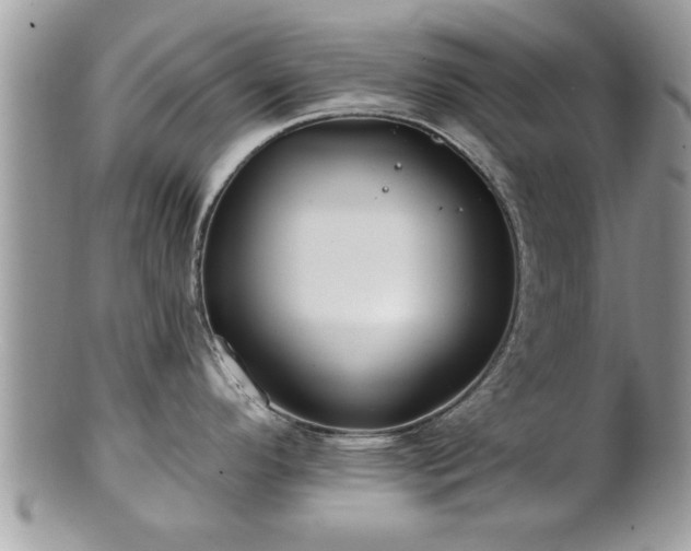 X0000100971296200807011412