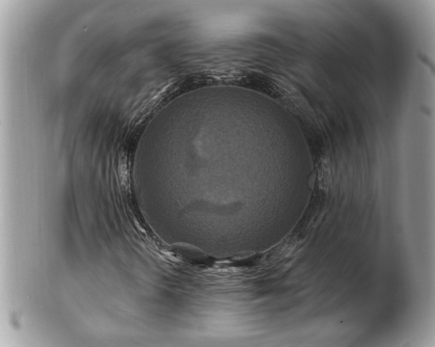 X0000100971298200807011411