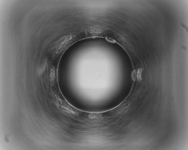 X0000100971299200807011411