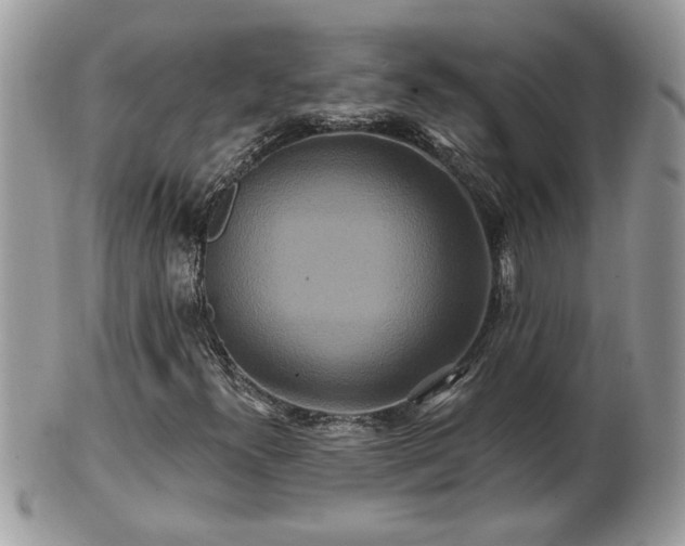 X0000100971300200807011411