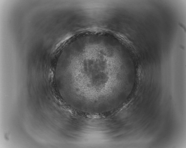 X0000100971302200807011411