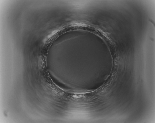 X0000100971303200807011411