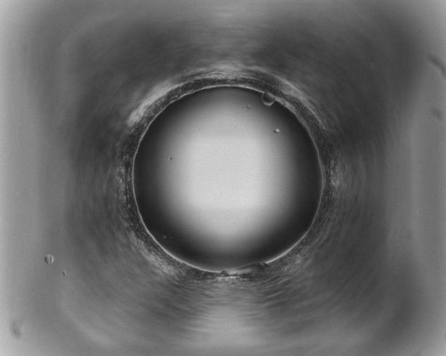 X0000100971304200807011411