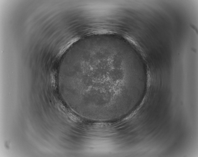 X0000100971305200807011411